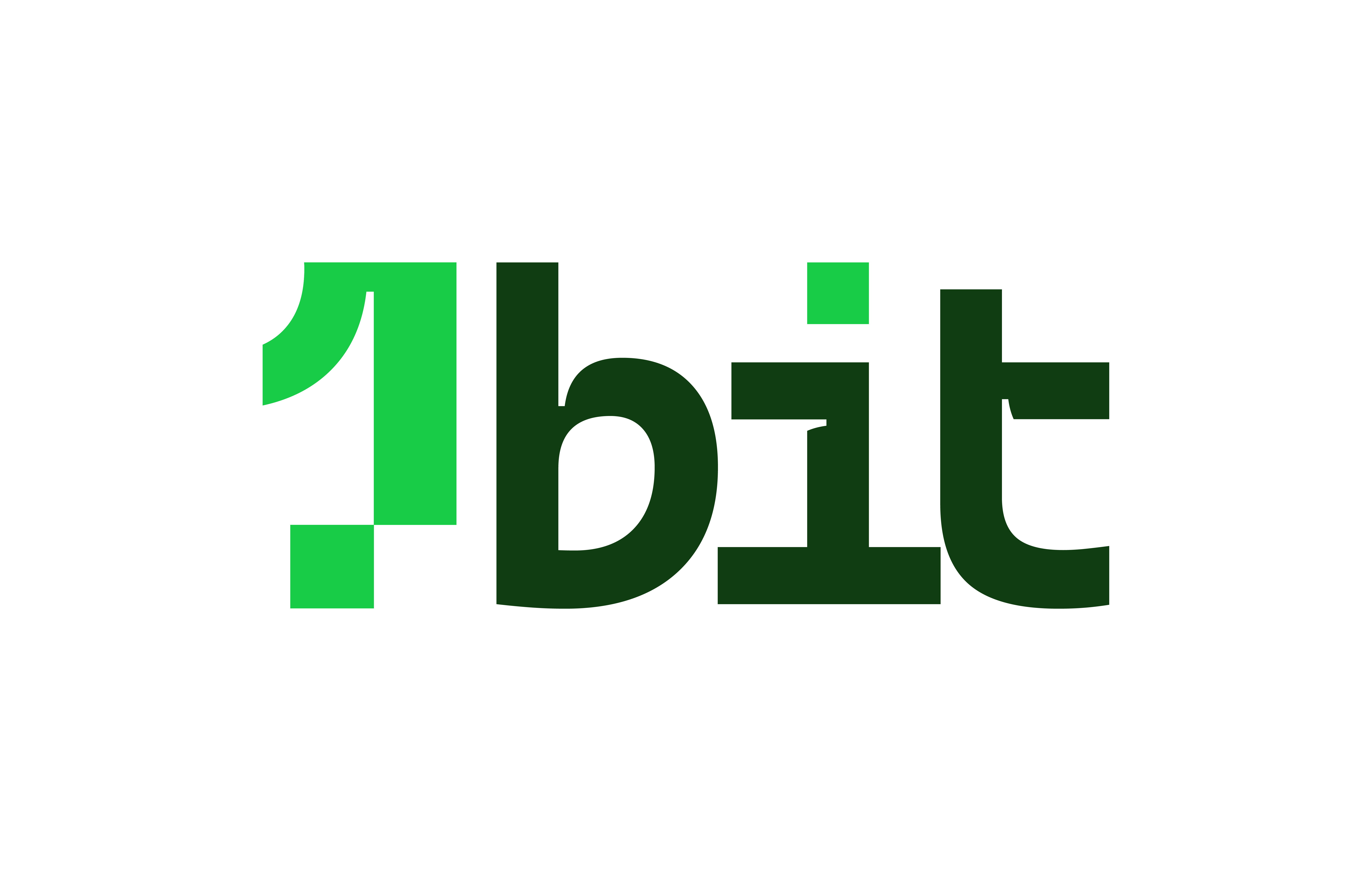 1Bit