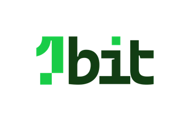 1Bit